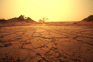 namib