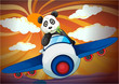 panda flying in air plane 