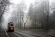 Historic tram in the fog