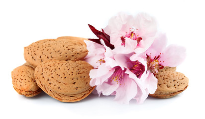 Canvas Print - Almonds with leaves and flowers