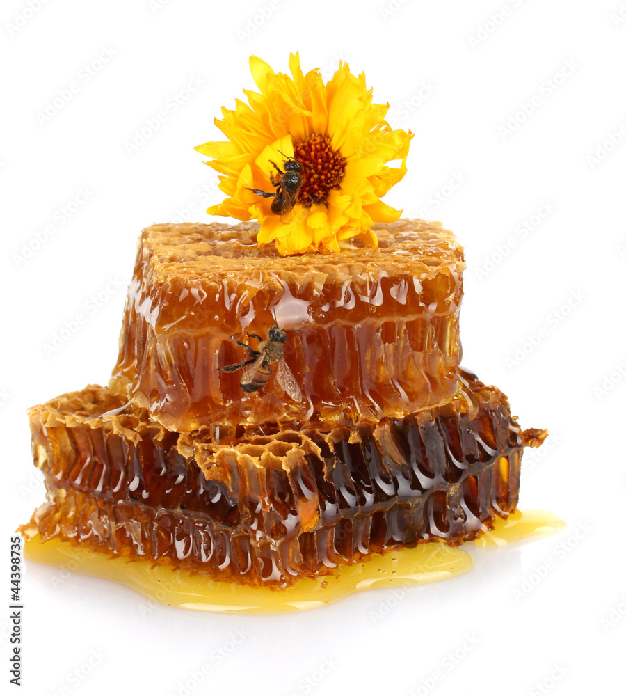 sweet honeycomb with honey, bee and flower, isolated on white
