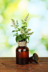 Wall Mural - Essential oil and mint on green background close-up