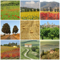 Wall Mural - poster with images of spectacular beauty of tuscan rural landsca