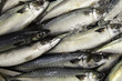 © Gregory Johnston - Stack of fish in market.