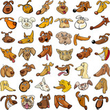 Fototapeta Pokój dzieciecy - Cartoon funny dogs heads set