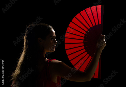 Flamenco artist Wallpaper Mural