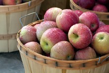 bushel-of-apples-free-stock-photo-public-domain-pictures