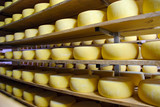 Fototapeta  - Cheese, Typical Sao Jorge cheese, Azores