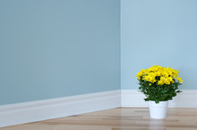 Yellow Daisies In White Pot Decorating A Room