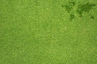 Word map on green grass texture and  background