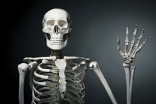 Happy Human Skeleton Saying Hello