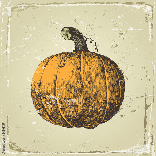 Nowoczesny obraz na płótnie pumpkin