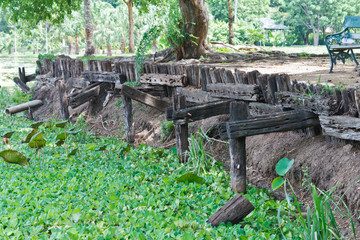 Lotus pond in park with old wooden water dam