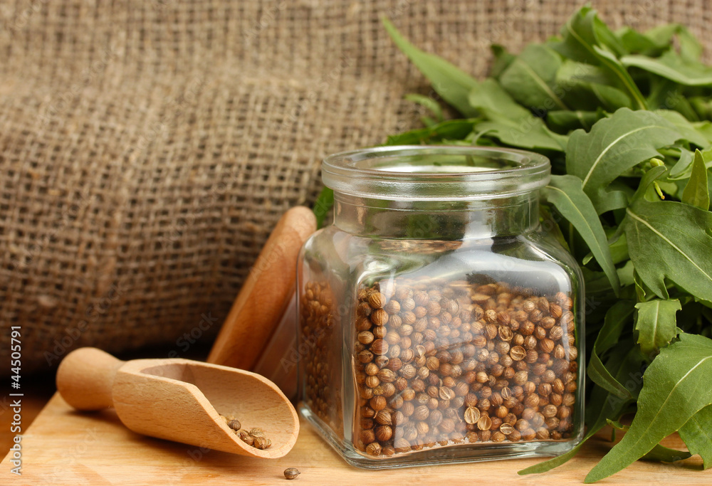 Jar of coriander seeds with rocket on canvas background