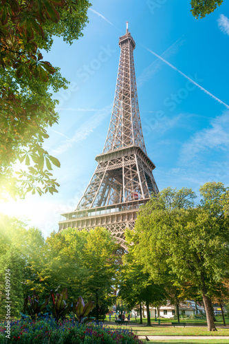 Naklejka na drzwi Tour Eiffel Paris France