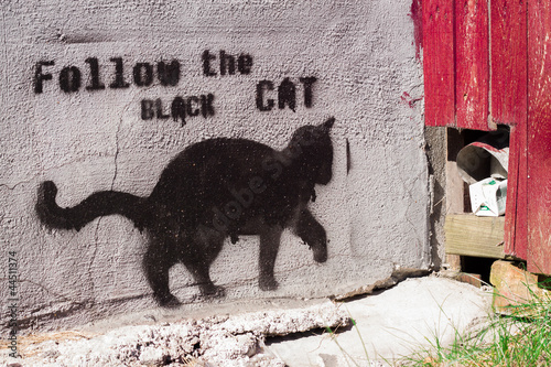 Tapeta ścienna na wymiar black cat graffiti