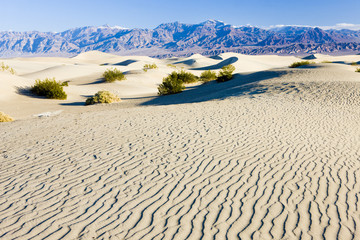 Sticker - Stovepipe Wells sand dunes, Death Valley NP,California,USA