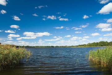 Canvas Print - Shore of the lake