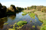 Fototapeta Storczyk - rzeka Bzura Kozłów Biskupi