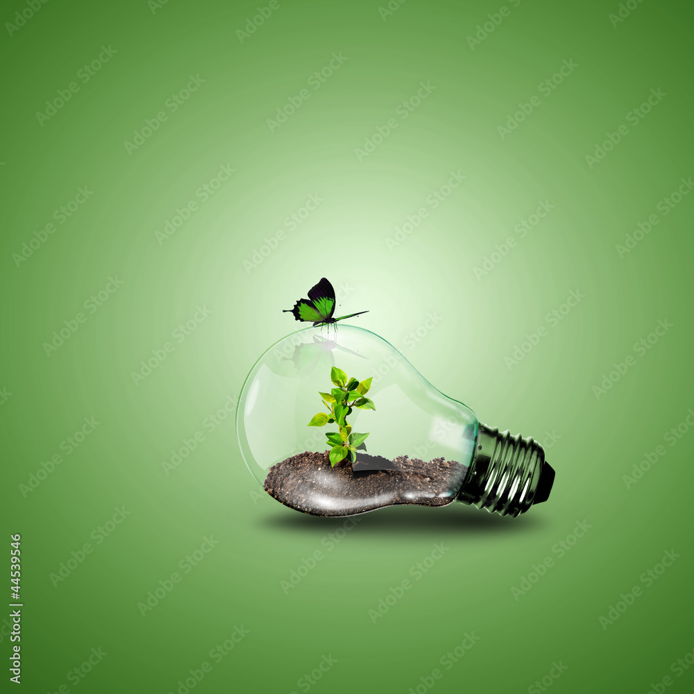 Photo Electric light bulb and a plant inside it