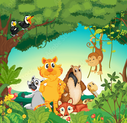 Obraz w ramie Animals in the forest