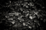 160_f_44544780_wqdzaaddwa0vaoejnqwuftegtusjqcgd
