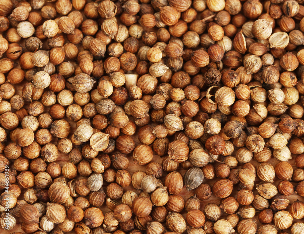 Heap coriander seeds close-up
