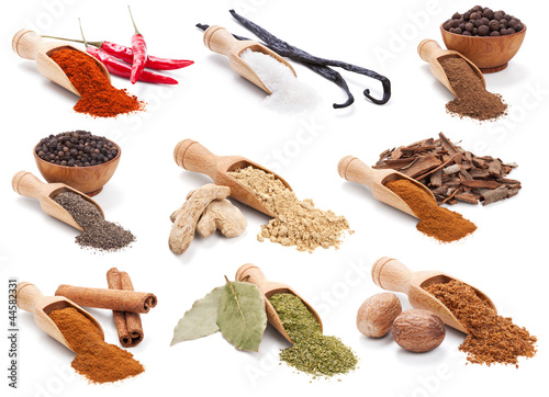 Naklejka - mata magnetyczna na lodówkę Spices and herbs isolated on white