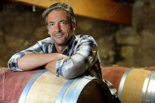 Fotomural Winemakers in cellar using electronic tablet