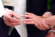 © gmg9130 - wedding rings