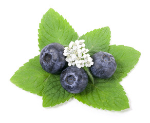 Wall Mural - Blueberry with green leaf on white background