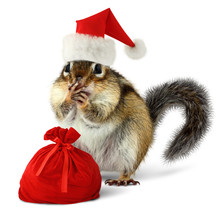 Chipmunk In Red Santa Claus Hat With Santas Bag