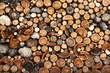 Leinwandbild Motiv Pile of chopped fire wood