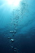 Bubbles undersea and sun rays