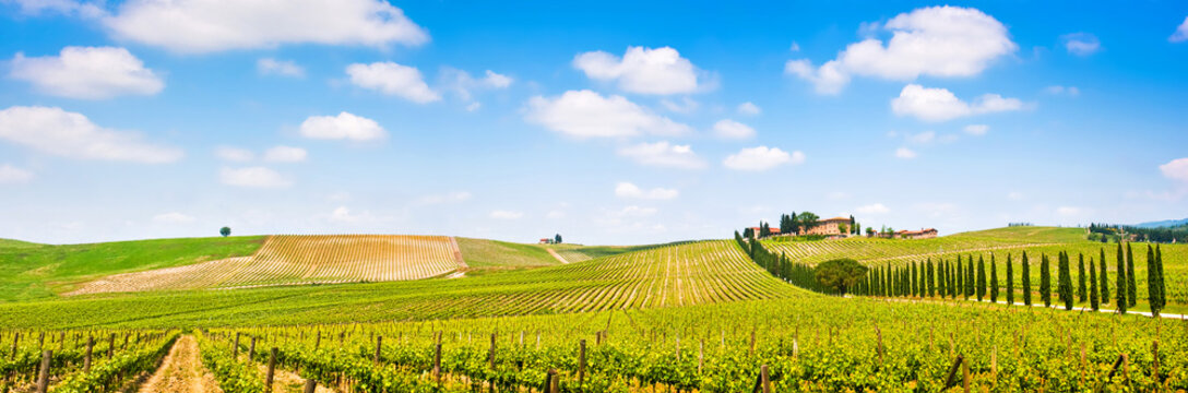 tuscany landscape panorama with vineyard, chianti region, italy
