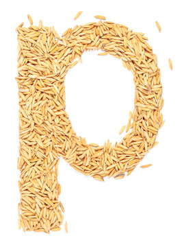 rice