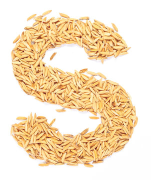 rice