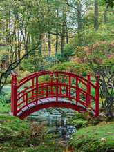 Red Japanese Bridge In An Autumn Garden