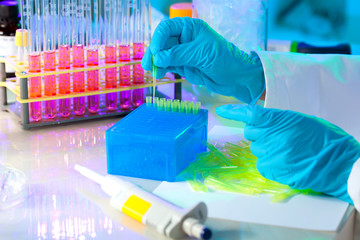 Wall Mural - tech fills in a plastic box with yellow tips for automatic pipet