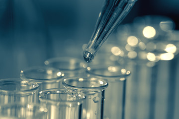 Wall Mural - pipette adding fluid to one of several test tubes