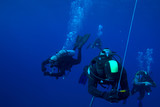 Fototapeta Do akwarium - Group of divers on 5-min safety stop, Cuba