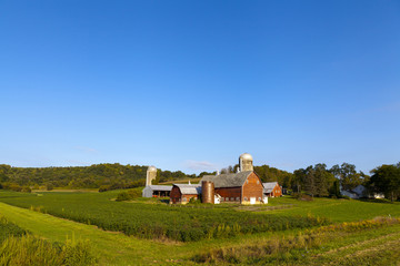 Wall Mural - Countryside