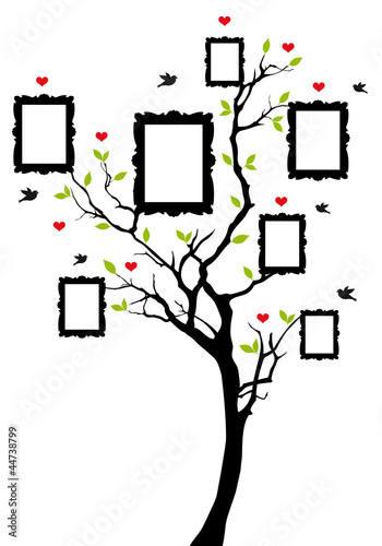 Plakat na zamówienie family tree with frames, vector