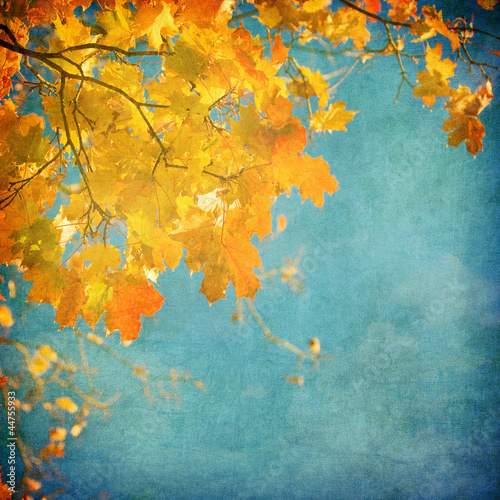 Obraz w ramie grunge background with autumn leaves