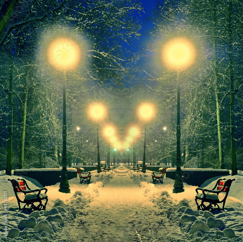 Naklejka na szybę Winter park in the evening covered with snow with a row of lamps