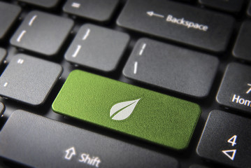 Wall Mural - green leaf keyboard key, environment background