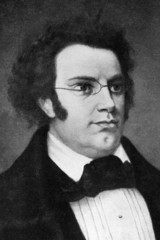 Wall Mural - Franz Schubert