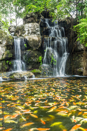 Fototapeta na wymiar beautiful fish in water fall