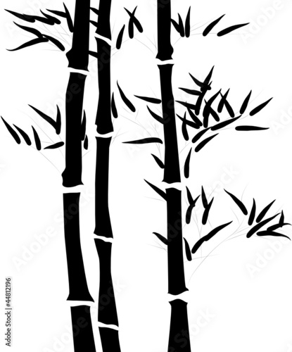 Naklejka - mata magnetyczna na lodówkę Silhouette of a branch of a bamboo