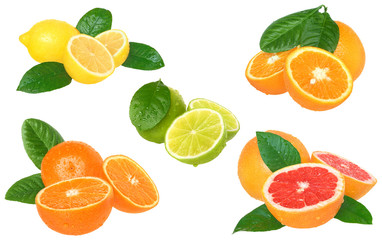 Sticker - Set citrus